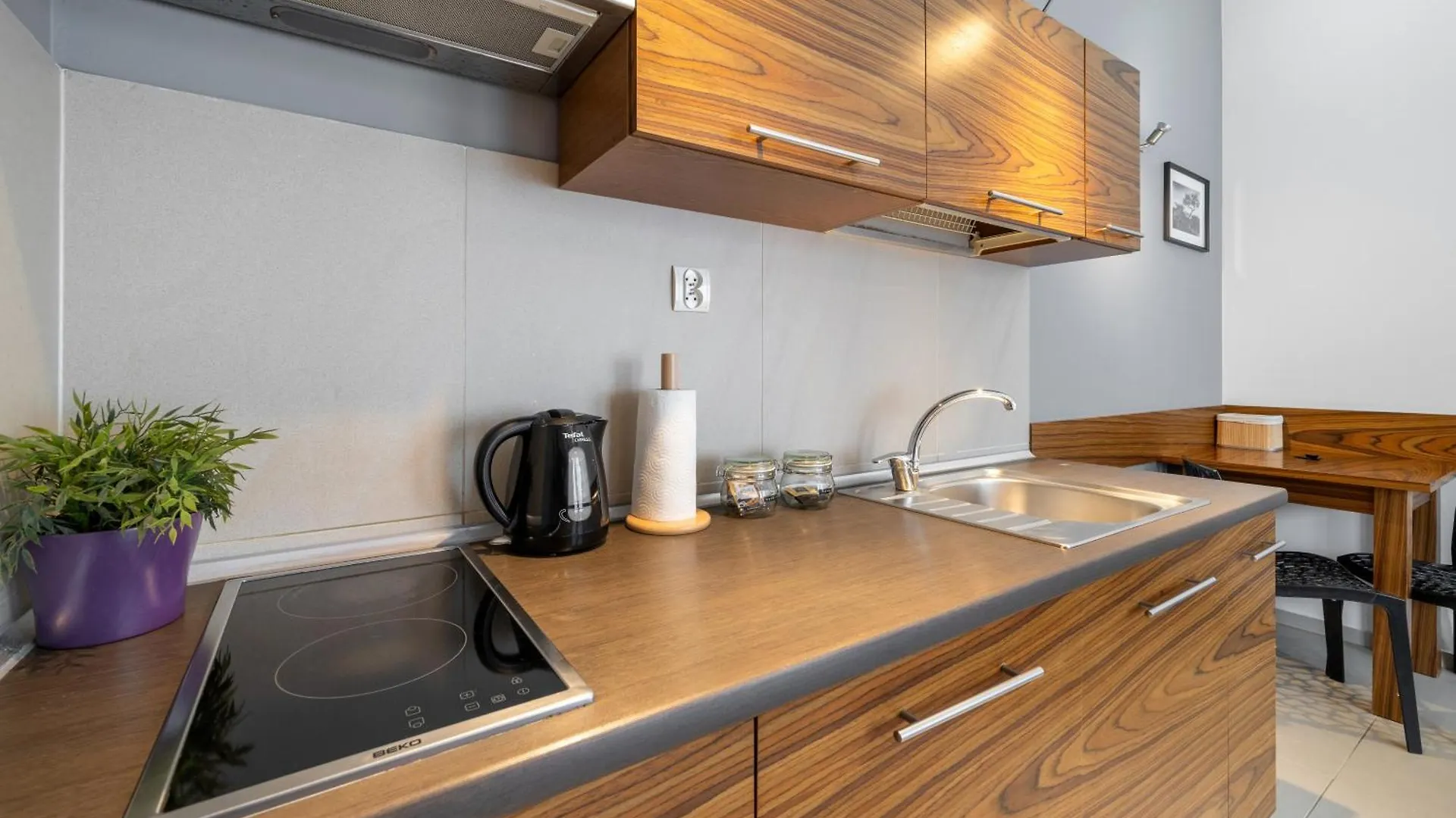 Rentplanet - Apartamenty Brzozowa 扎科帕内 0*,  波兰