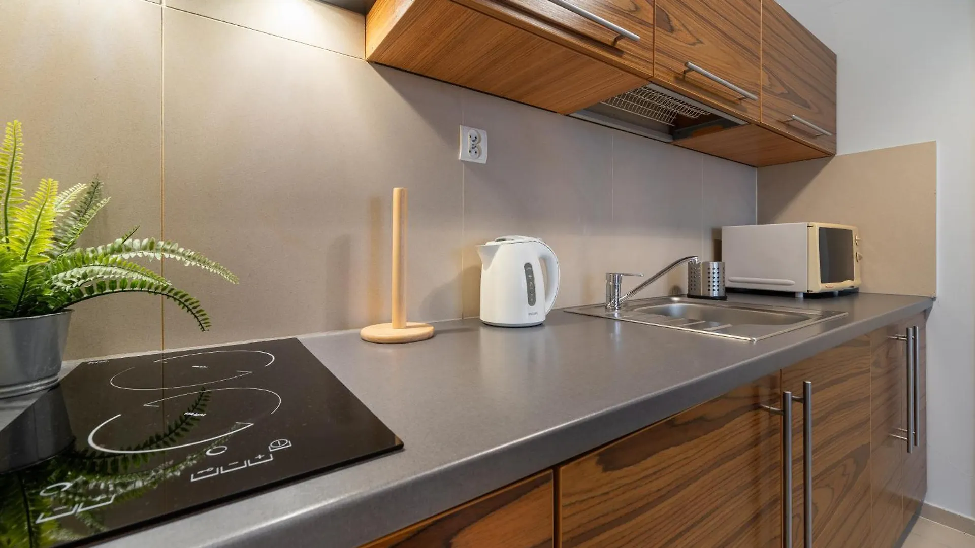 公寓 Rentplanet - Apartamenty Brzozowa 扎科帕内
